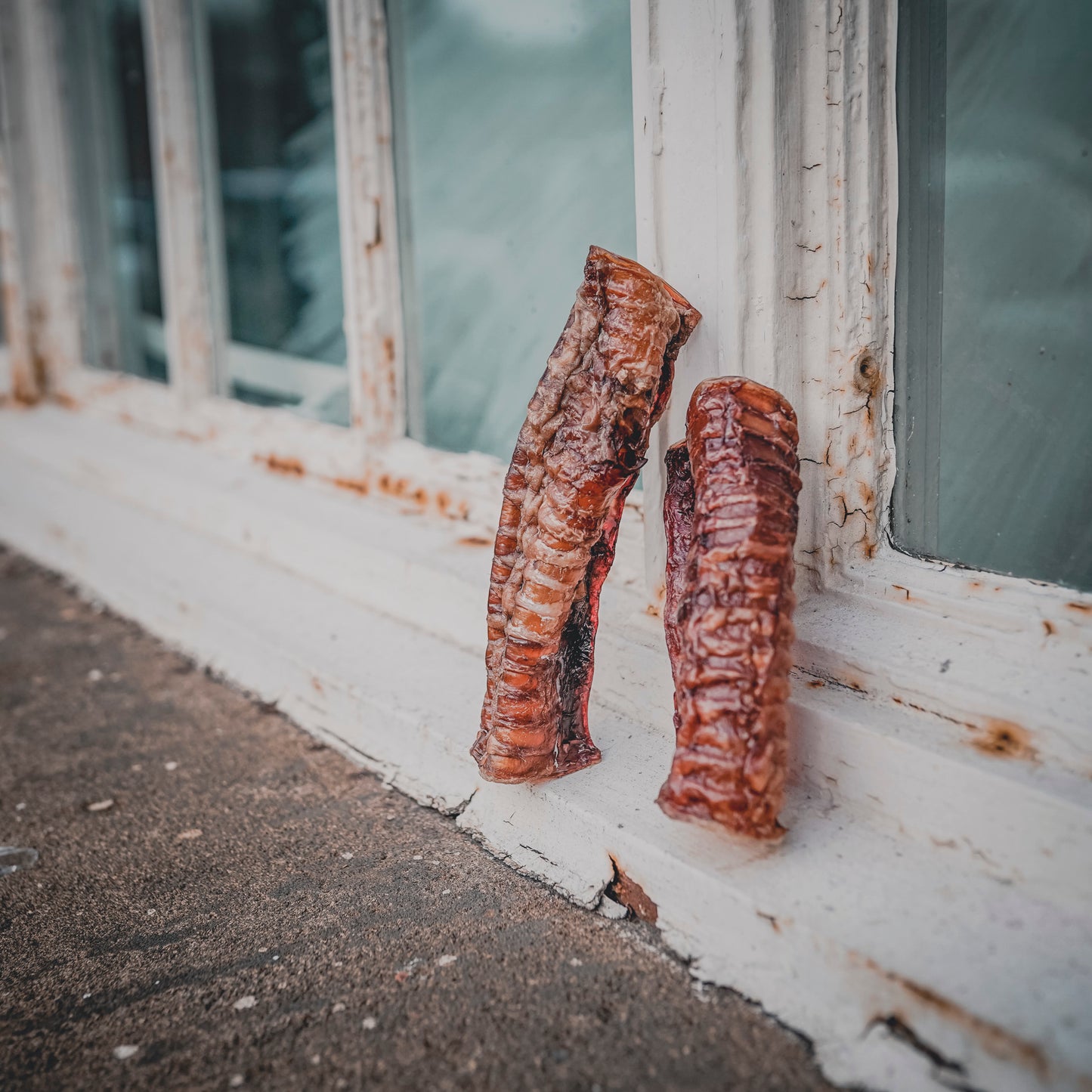 Beef Trachea
